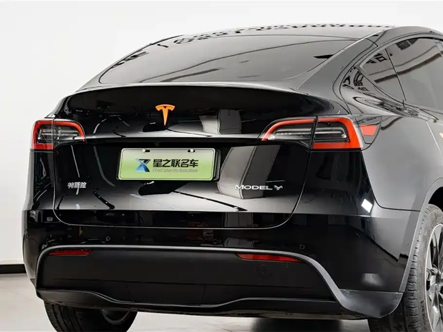 Tesla Model Y — фото 8