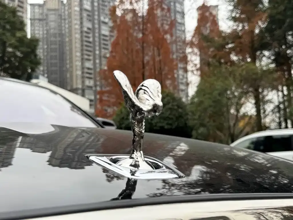 Rolls-Royce Ghost 2022 из CN, фото 7