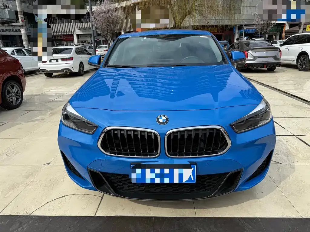 BMW X2 2021 из CN, фото 5