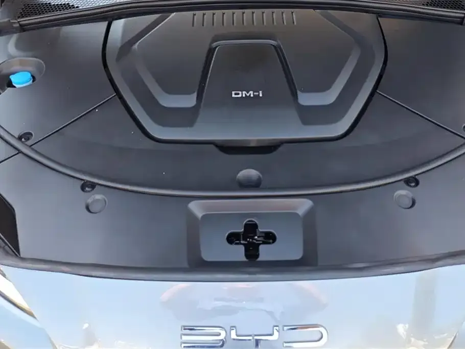 BYD PLUS New Energy — фото 4