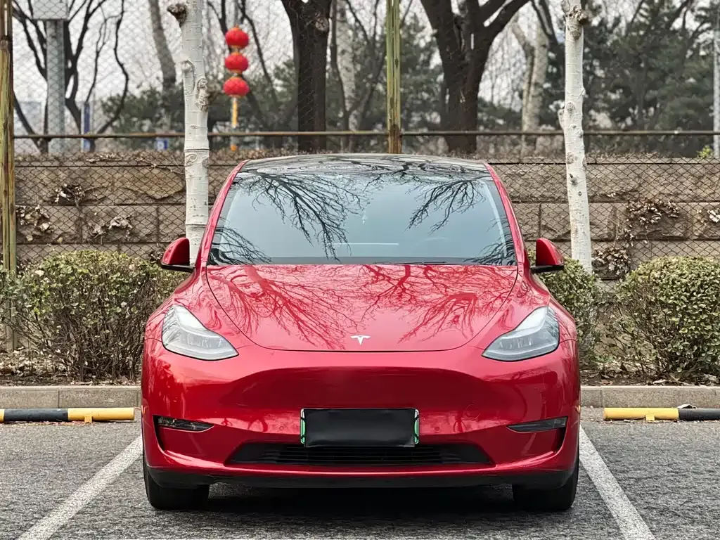 Tesla Model Y — фото 7