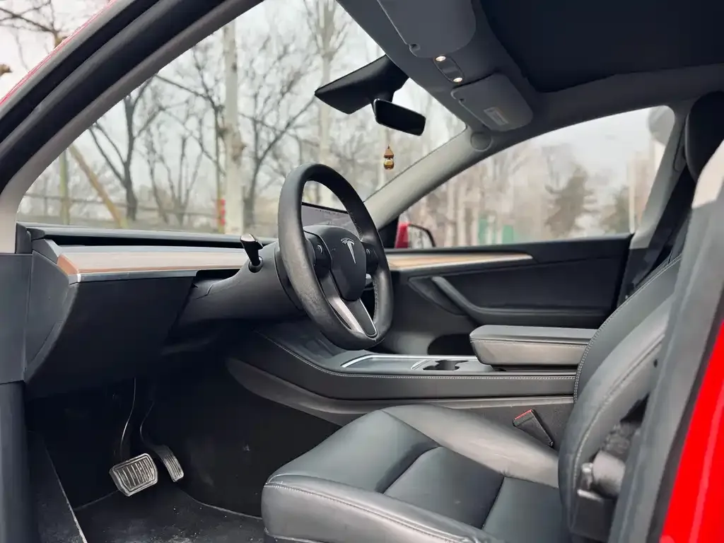 Tesla Model Y — фото 10