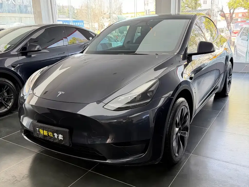 Tesla Model Y — фото 1