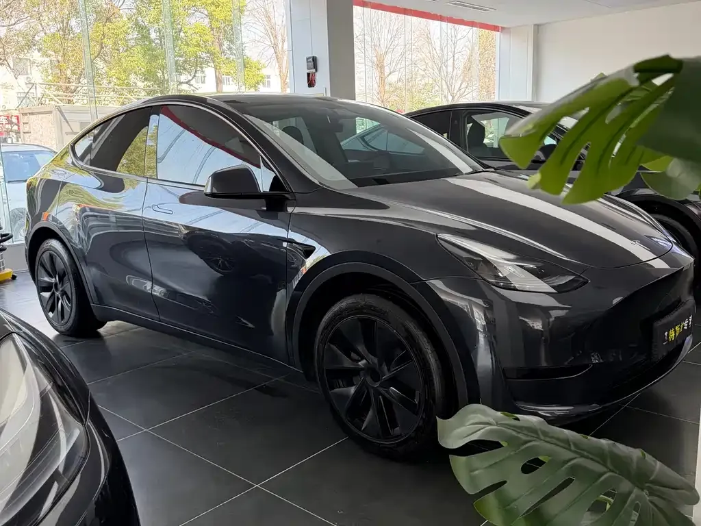 Tesla Model Y — фото 9