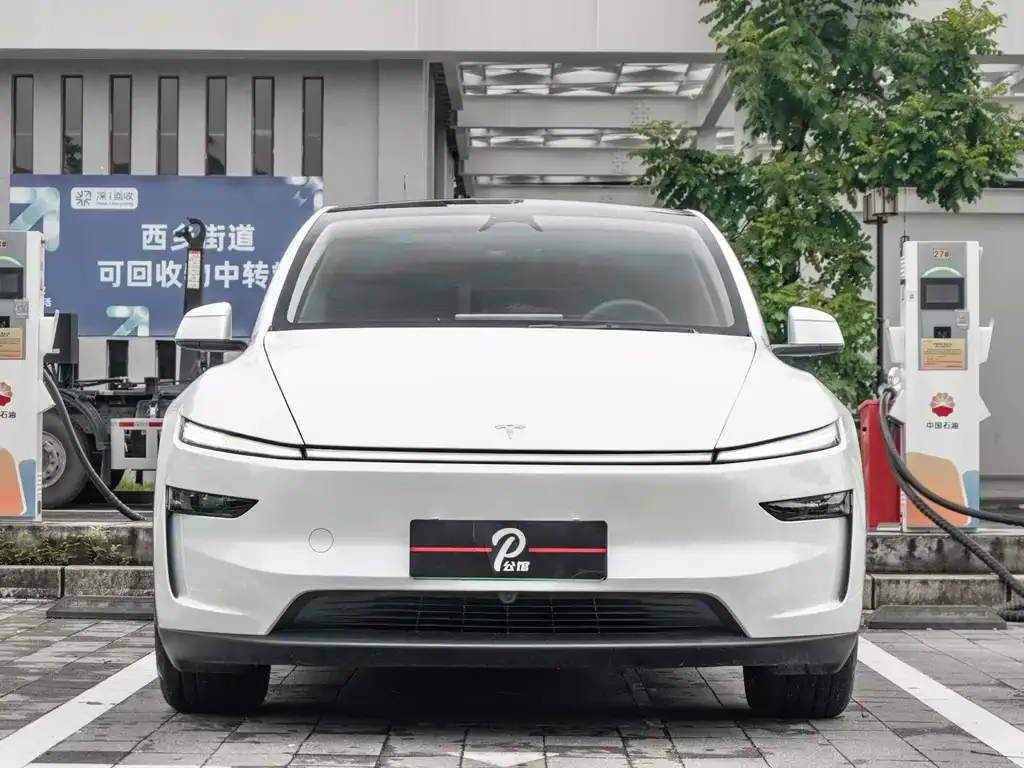 Tesla Model Y — фото 7