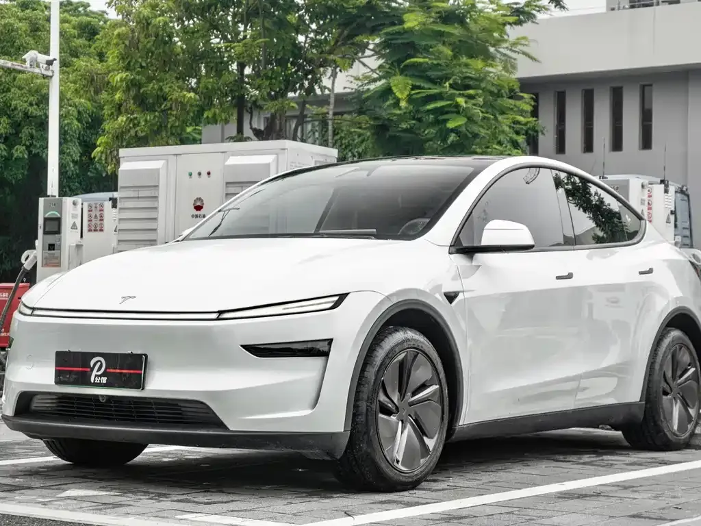 Tesla Model Y — фото 8