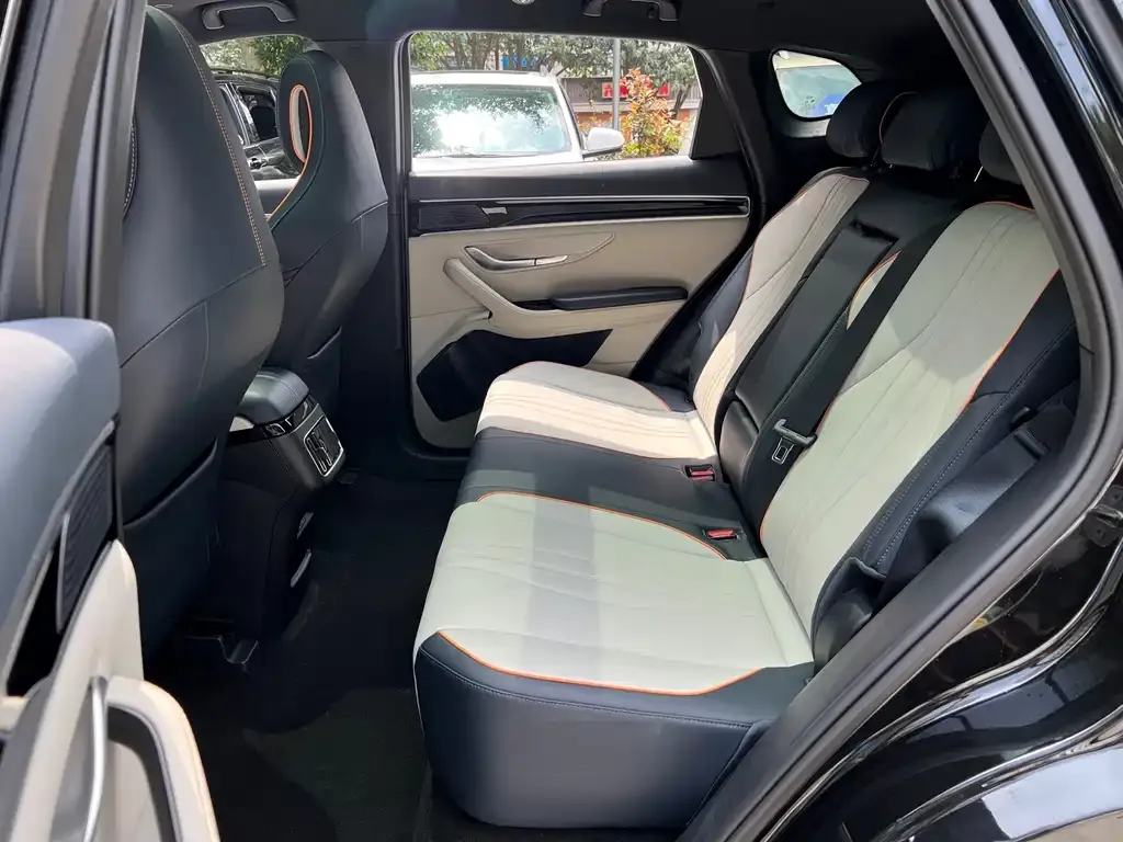 BYD PLUS New Energy 2023 из CN, фото 2