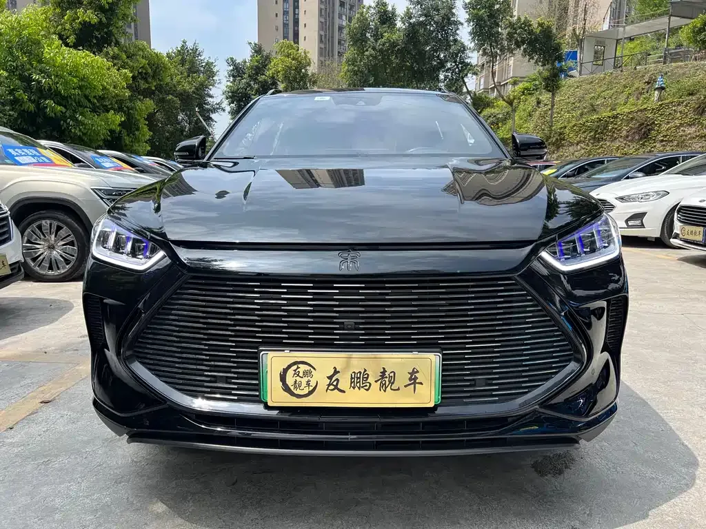 BYD PLUS New Energy 2023 из CN, фото 3