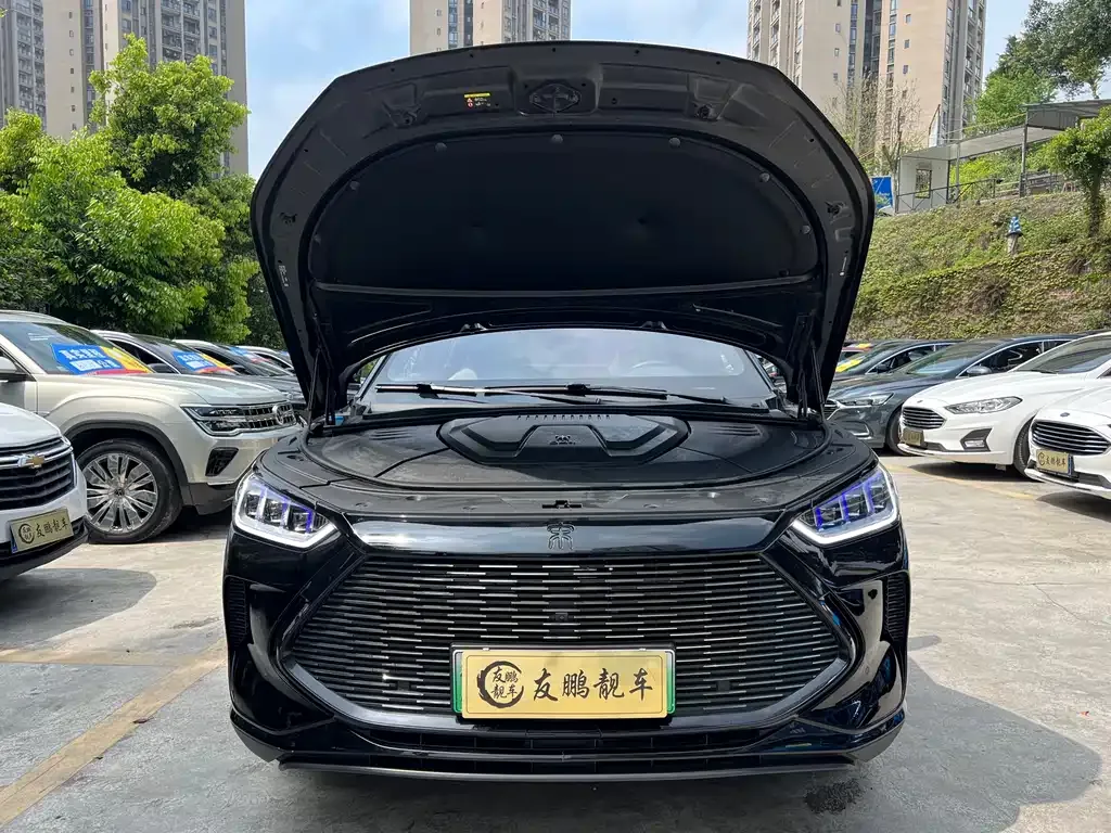 BYD PLUS New Energy 2023 из CN, фото 10