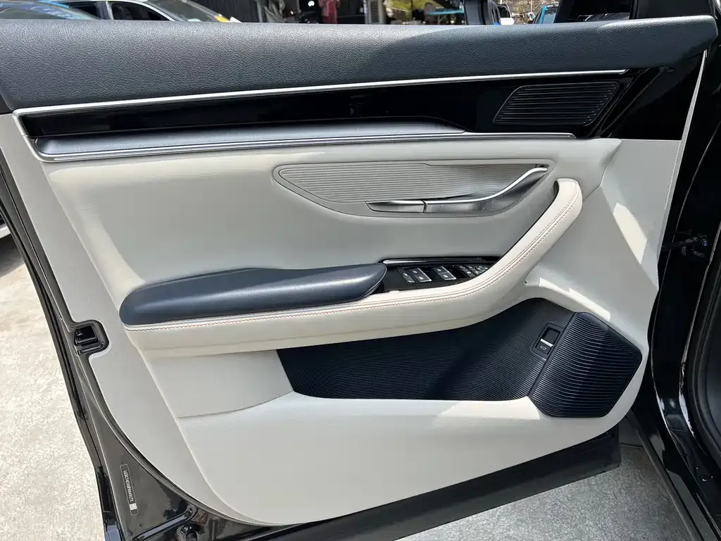 BYD PLUS New Energy 2023 из CN, фото 6