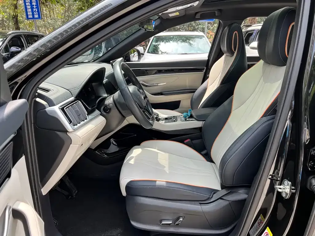 BYD PLUS New Energy 2023 из CN, фото 4