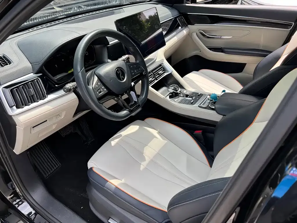 BYD PLUS New Energy 2023 из CN, фото 5