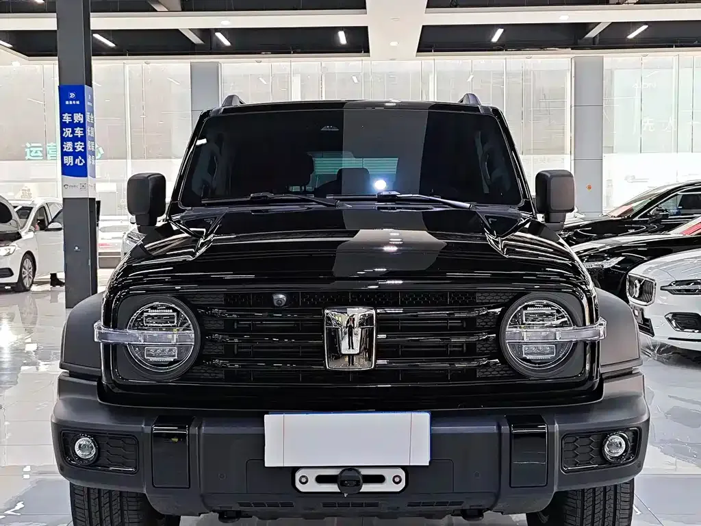 Tank 300 2025 из CN, фото 10