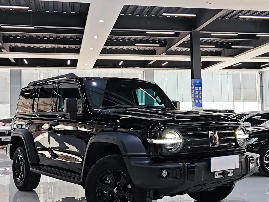 Tank 300 2025 из CN, фото 4