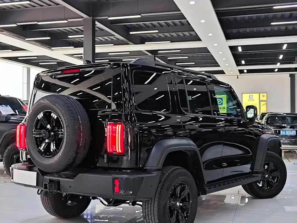 Tank 300 2025 из CN, фото 2