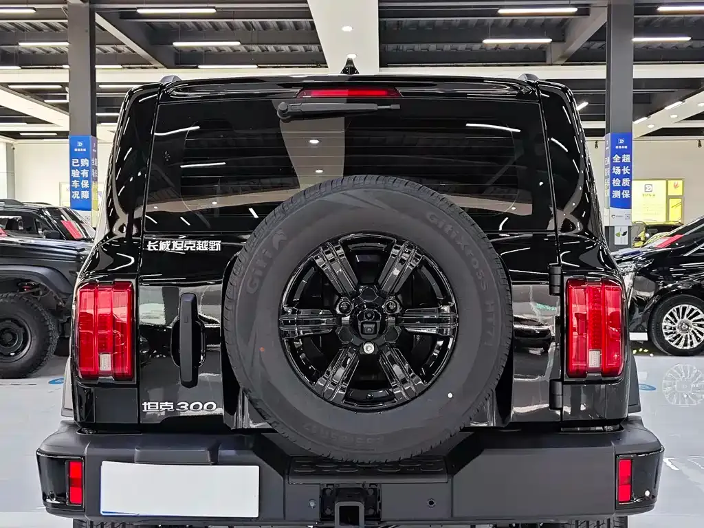 Tank 300 2025 из CN, фото 7