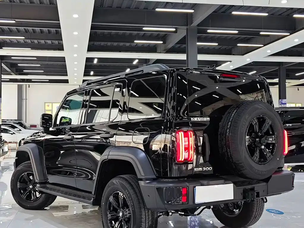 Tank 300 2025 из CN, фото 8