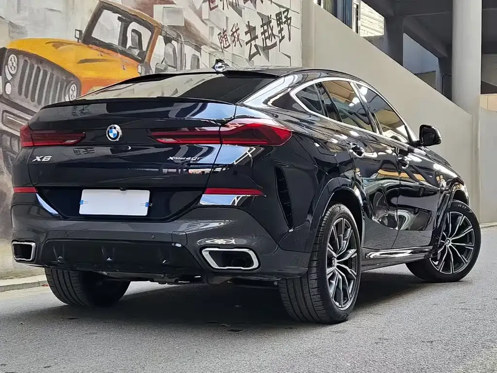 BMW X6 2021 из CN, фото 4