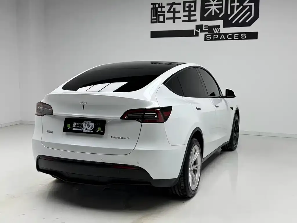 Tesla Model Y — фото 10