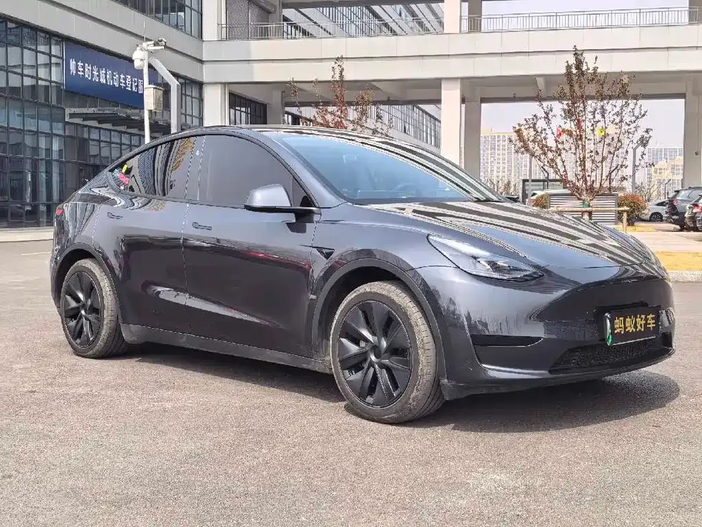 Tesla Model Y 2024 из CN, фото 6