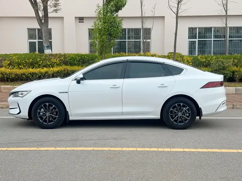 BYD Qin PLUS — фото 4