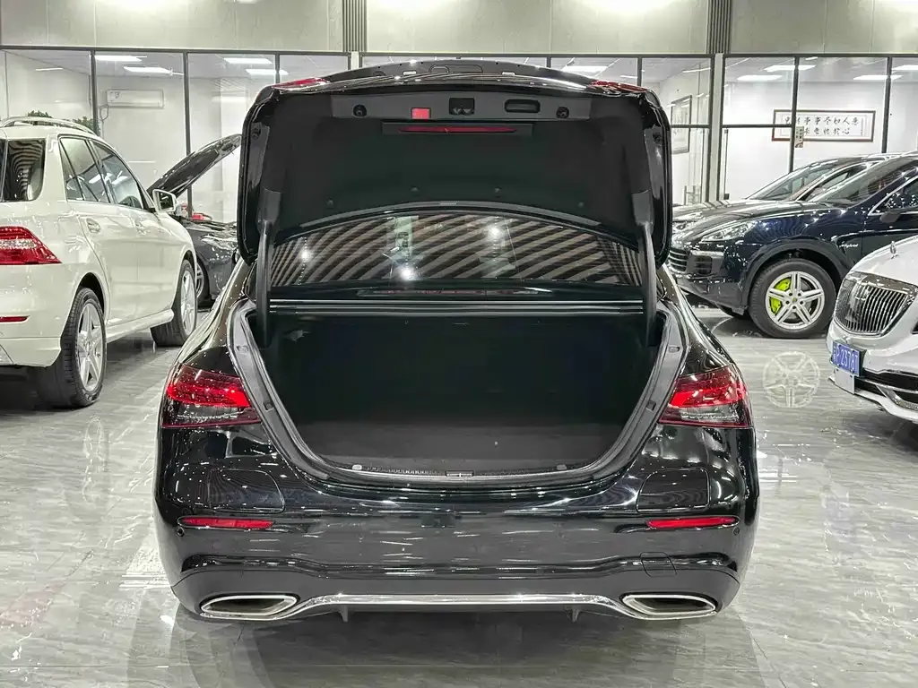 Mercedes-Benz E-Class New Energy — фото 9