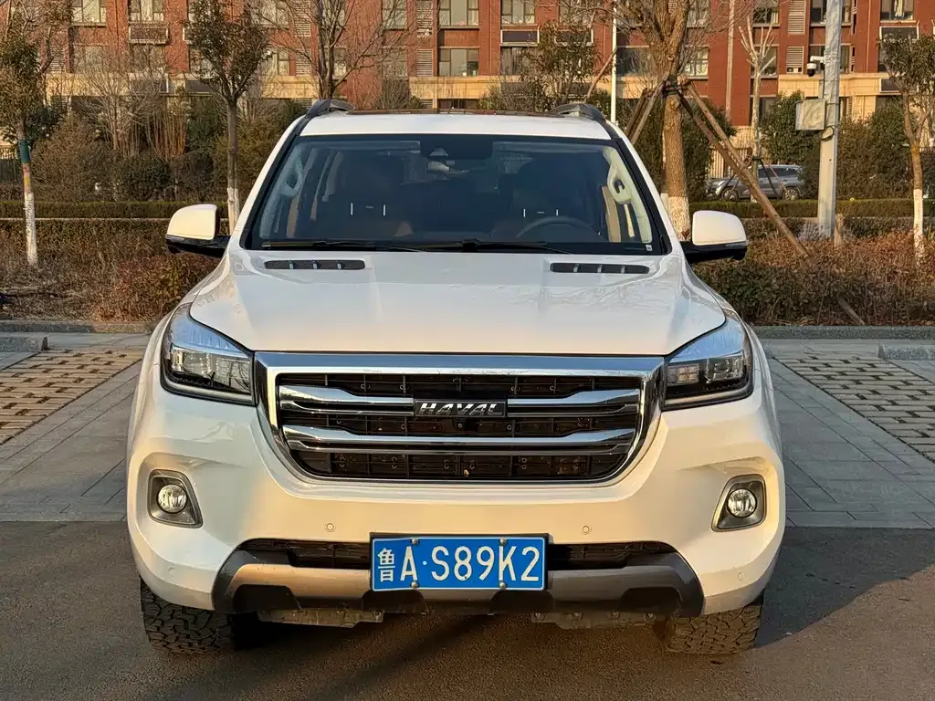 Haval H9 2021 из CN, фото 5