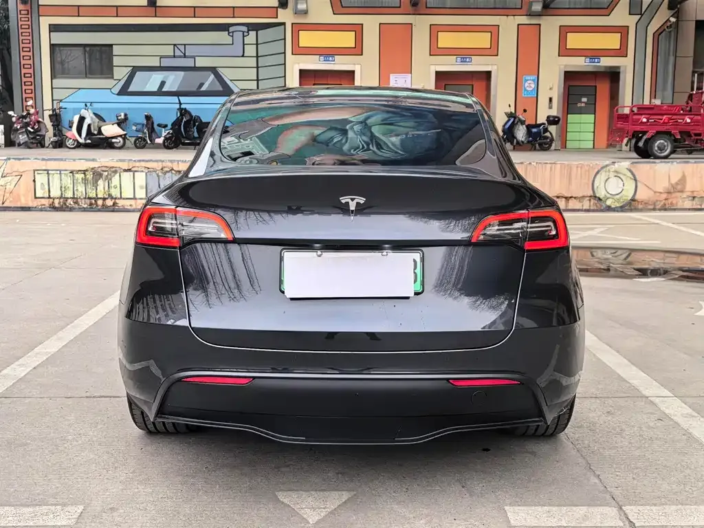 Tesla Model Y 2024 из CN, фото 6