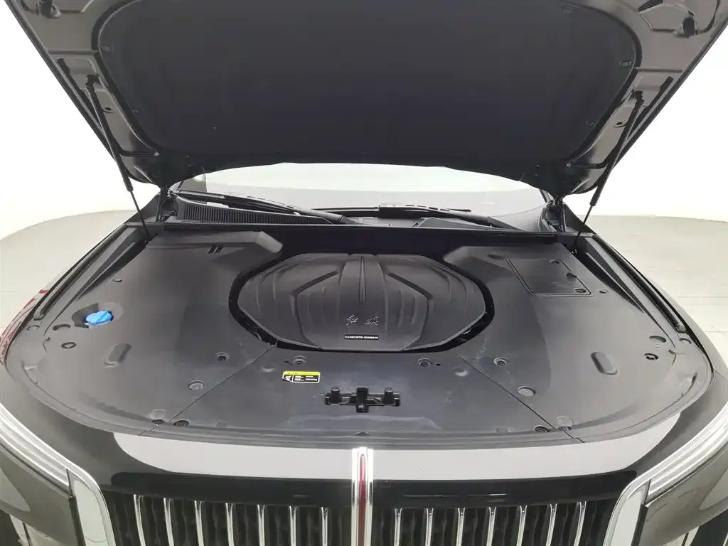Hongqi H9 2021 из CN, фото 7