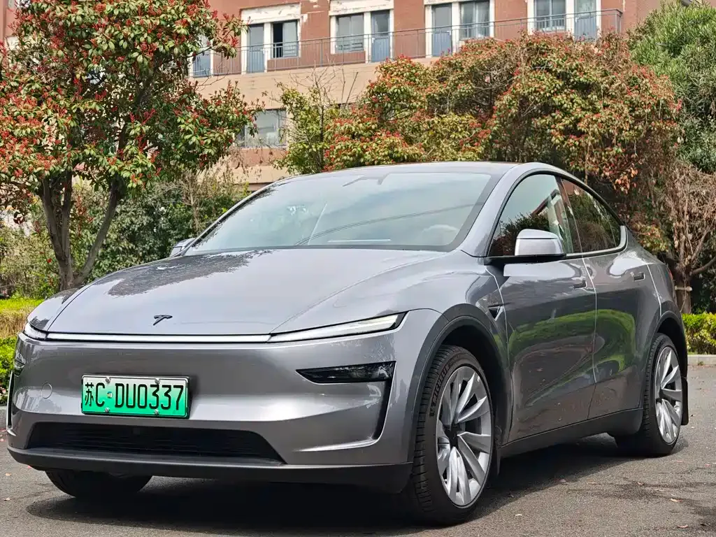 Tesla Model Y — фото 1