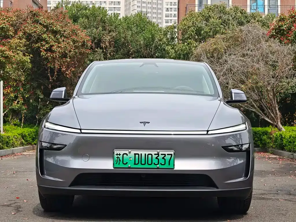 Tesla Model Y — фото 6