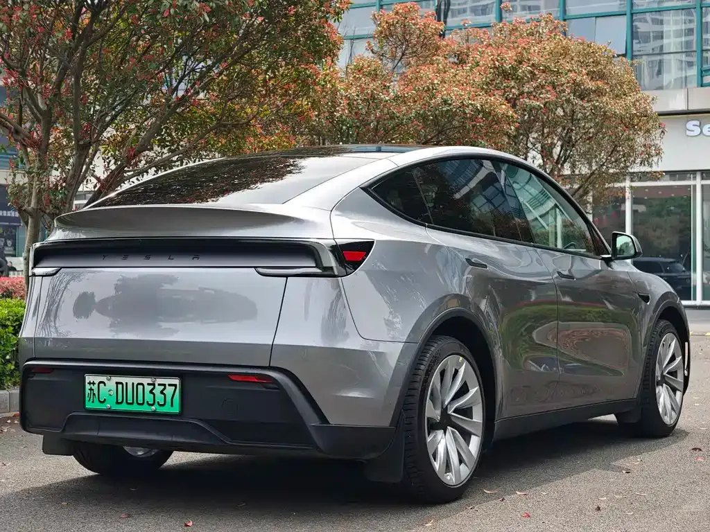 Tesla Model Y — фото 8