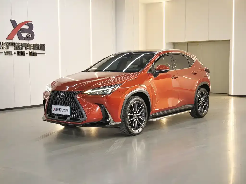 Lexus NX 2022 из CN, фото 1