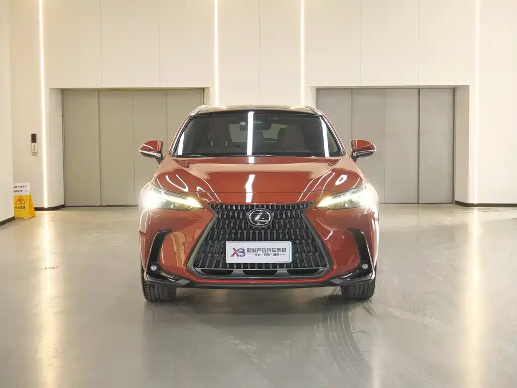 Lexus NX 2022 из CN, фото 2