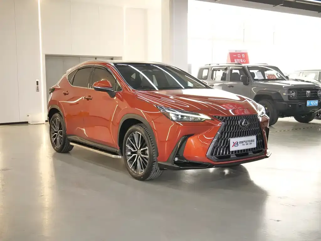 Lexus NX 2022 из CN, фото 8