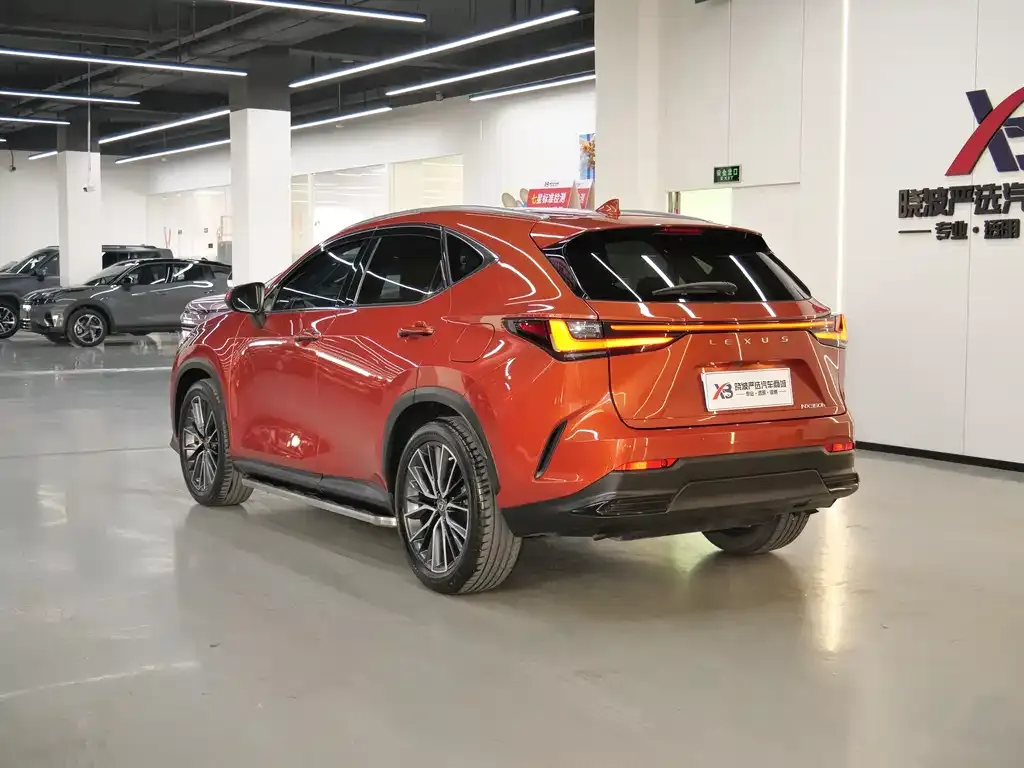 Lexus NX 2022 из CN, фото 4