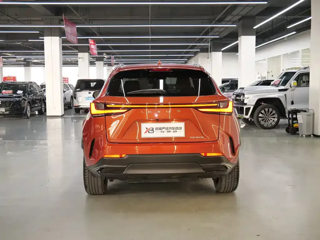 Lexus NX 2022 из CN, фото 10