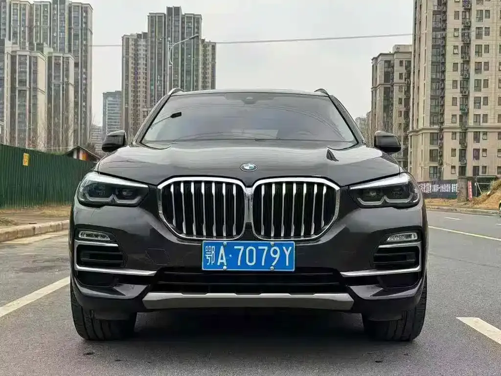 BMW X5 (Import) 2021 из CN, фото 6