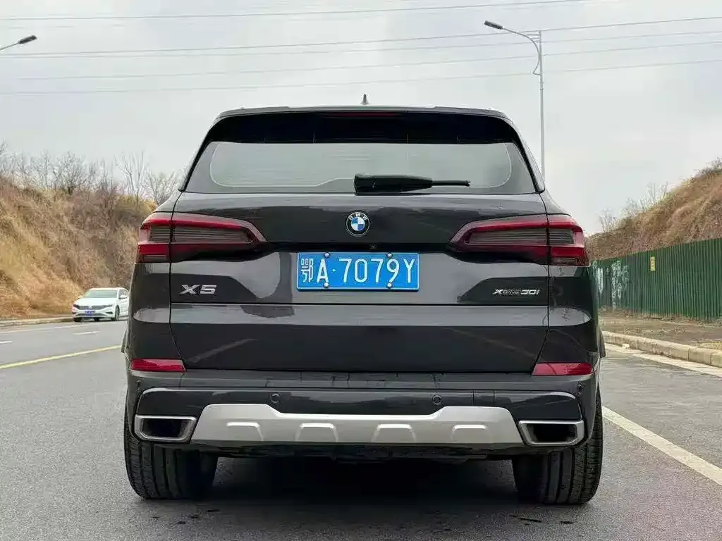 BMW X5 (Import) 2021 из CN, фото 3
