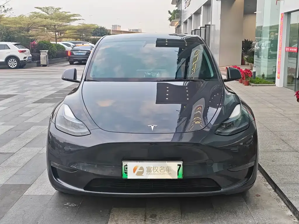 Tesla Model Y — фото 5