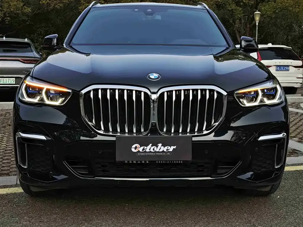 BMW X5 2022 из CN, фото 3