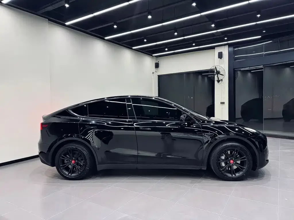 Tesla Model Y — фото 10