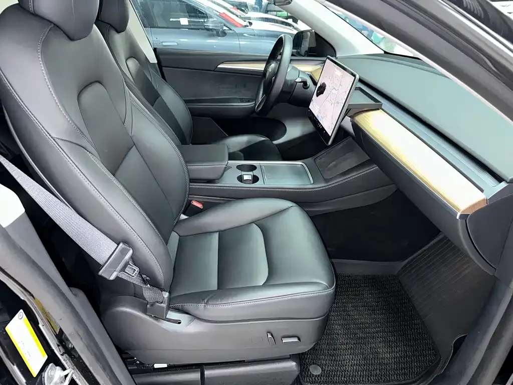 Tesla Model Y — фото 10