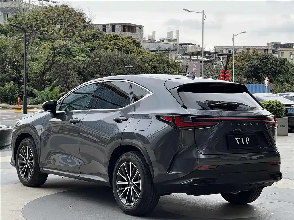 Lexus NX — фото 9