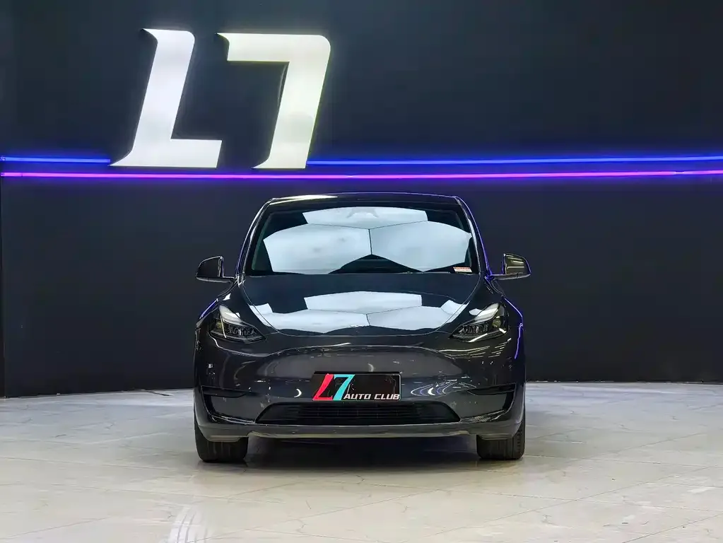 Tesla Model Y — фото 2