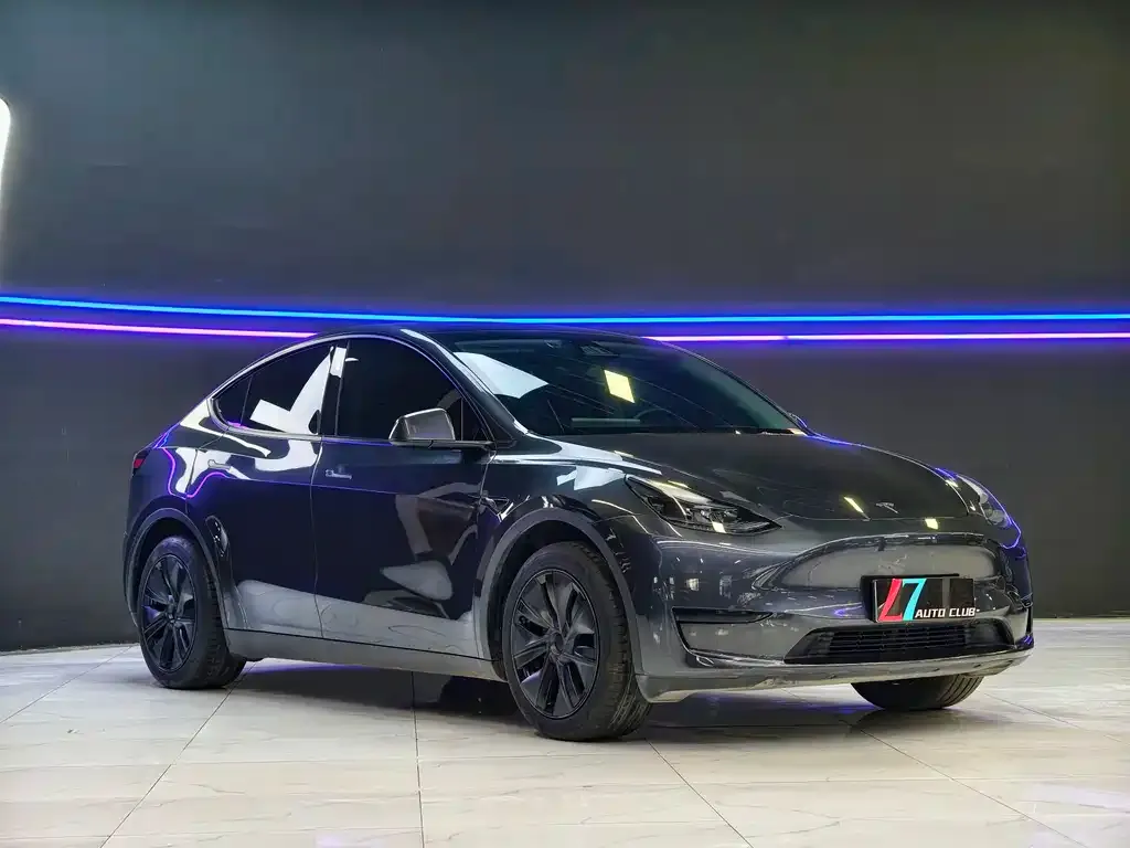 Tesla Model Y — фото 9