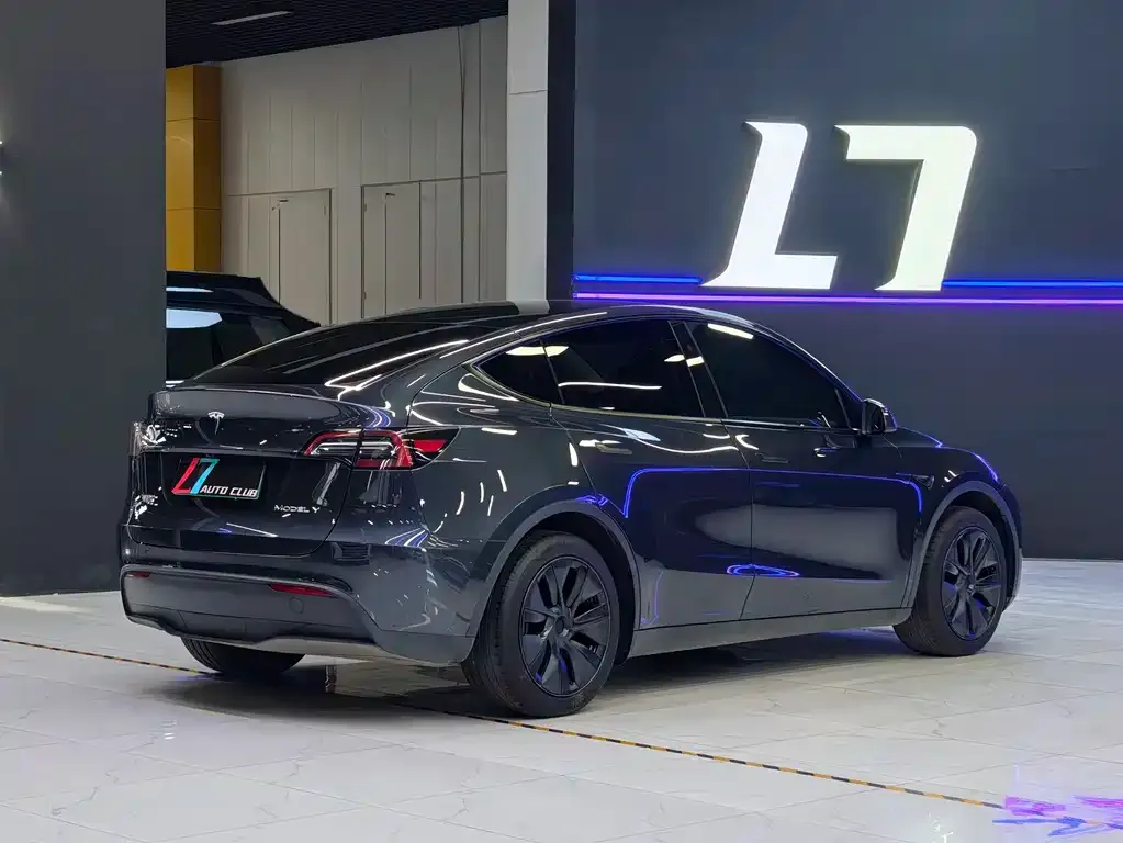 Tesla Model Y — фото 5