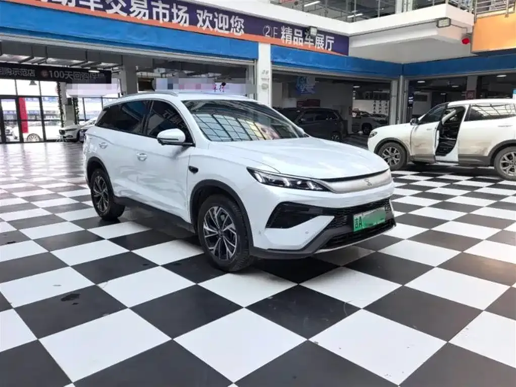 BYD Pro New Energy 2025 из CN, фото 1