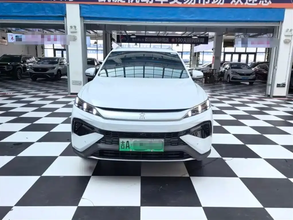 BYD Pro New Energy 2025 из CN, фото 6