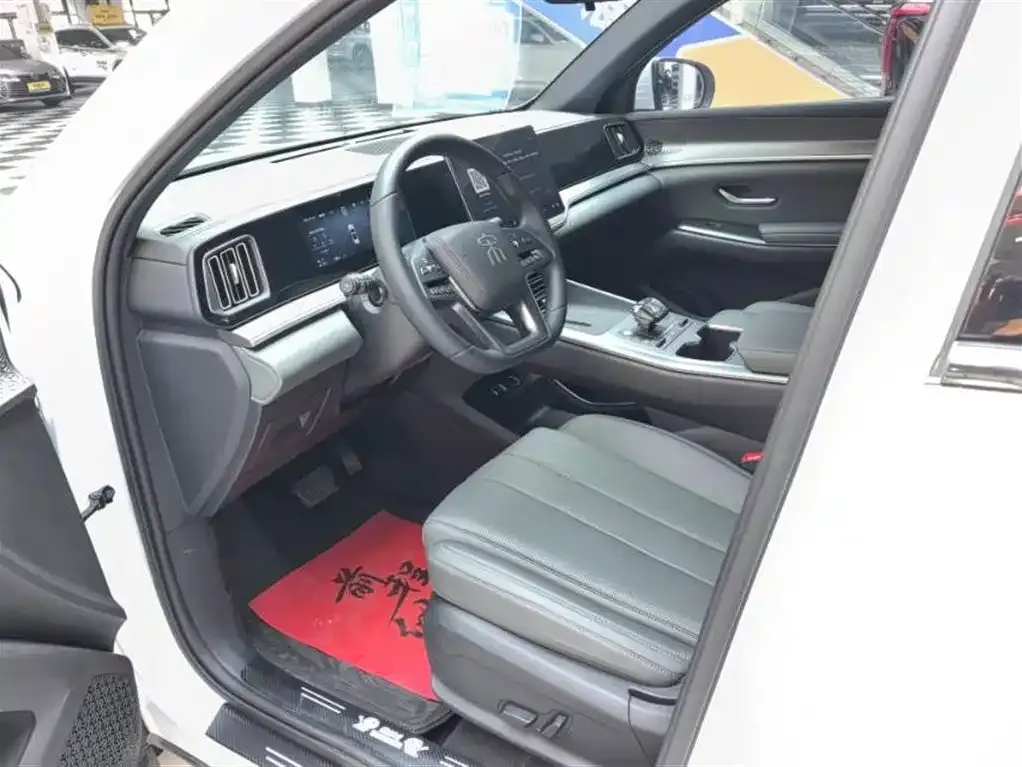 BYD Pro New Energy 2025 из CN, фото 5
